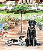 PREMIER Custom Whimsical HOME & PET Illustration (Starting at $2,100)